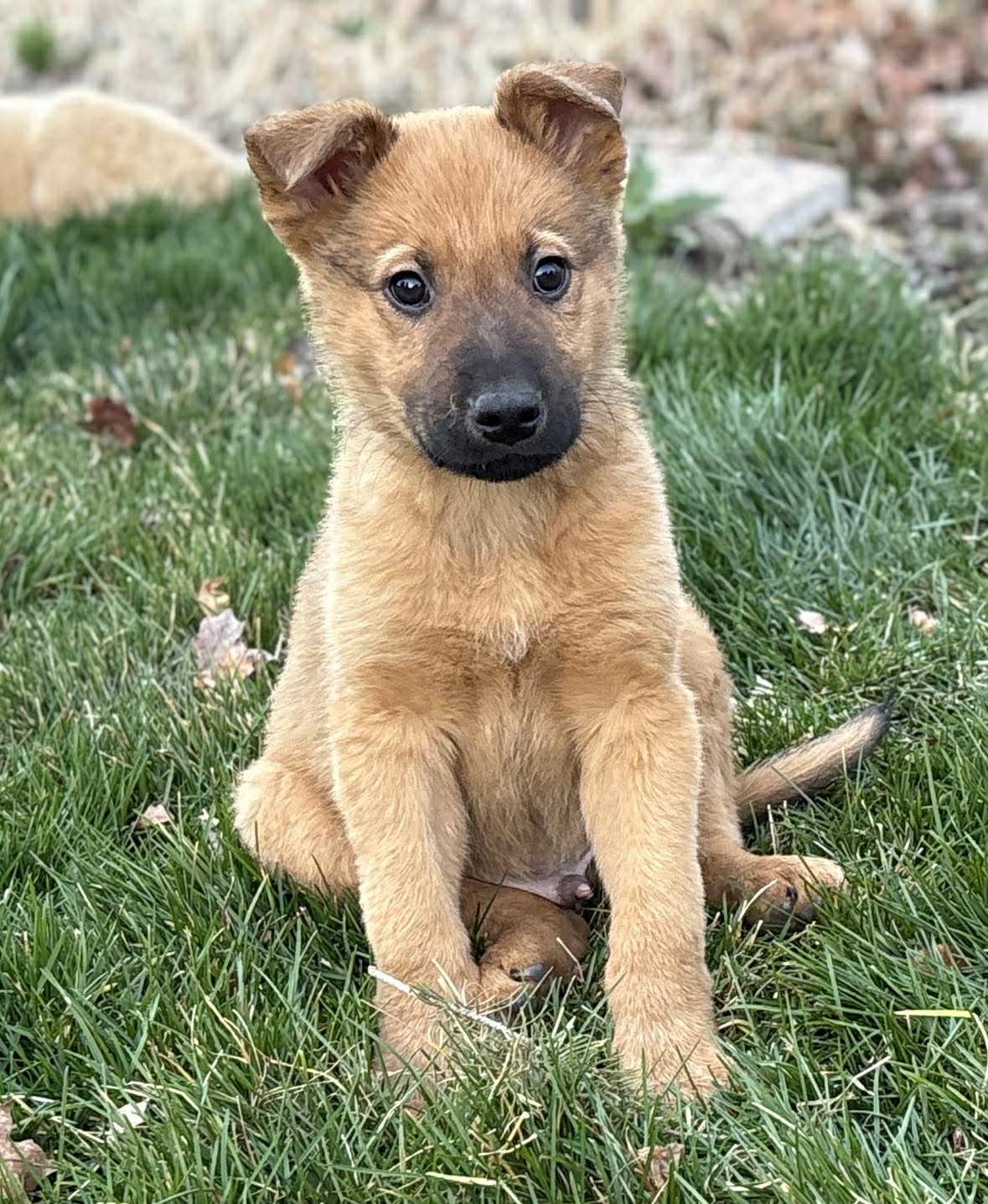Copper