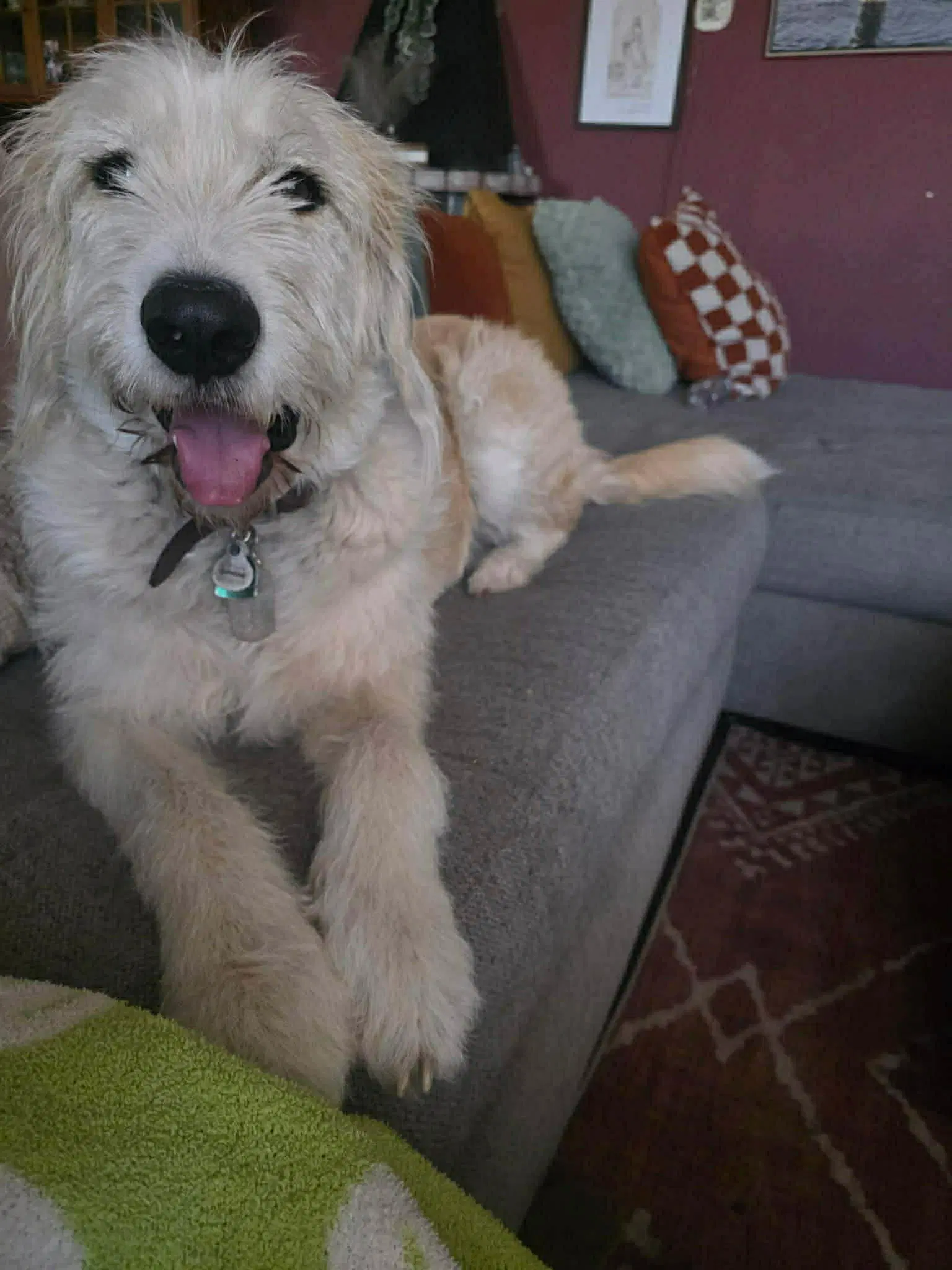 Tobie image 4