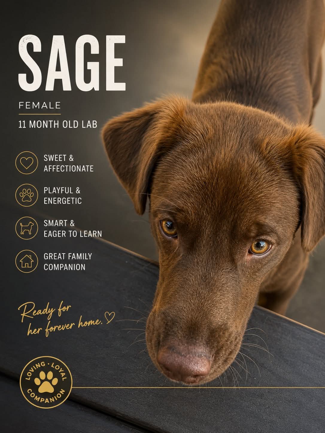 Sage
