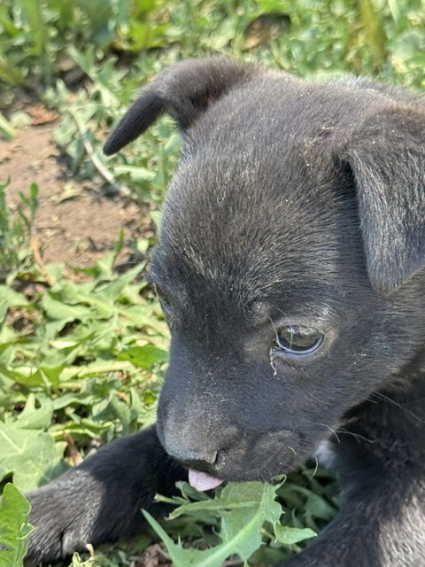 Mae photo 4