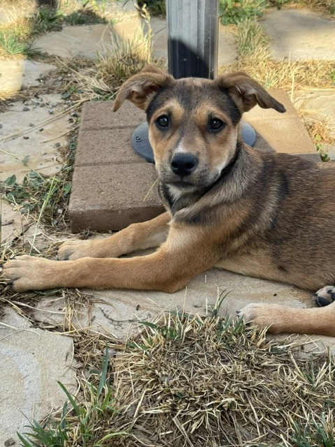 Rita