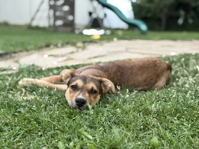 Rita image 2