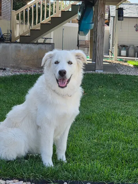 Willow Mae image 2
