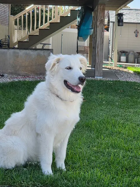 Willow Mae image 3