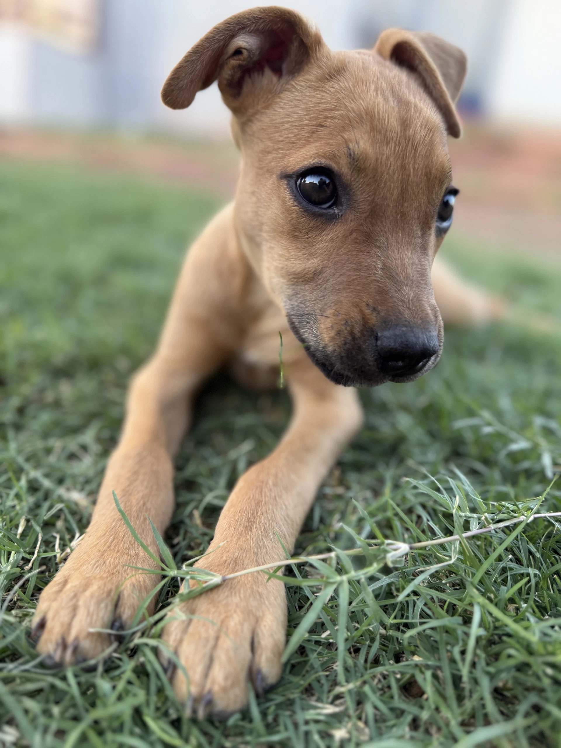 Maggie Mags