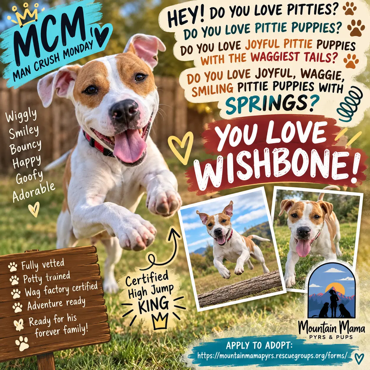 Wishbone image 2