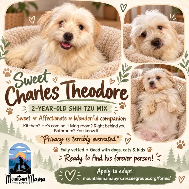 Theo Charlie image 2