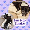 Dew Drop (Hospice)