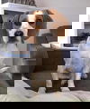 Max: bonded to Stella