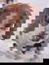 Max: bonded to Stella