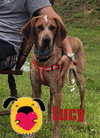 Lucy