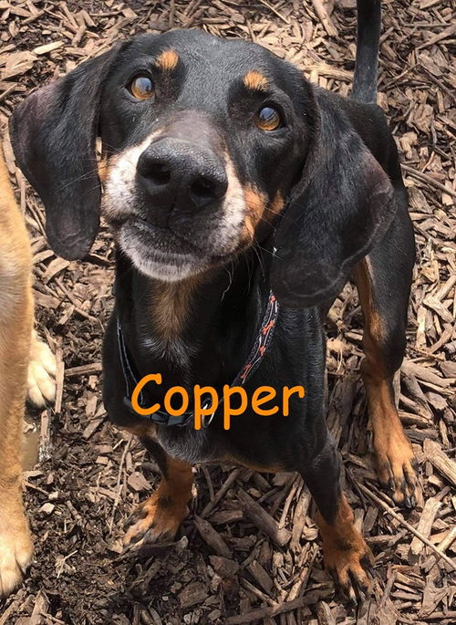 Copper