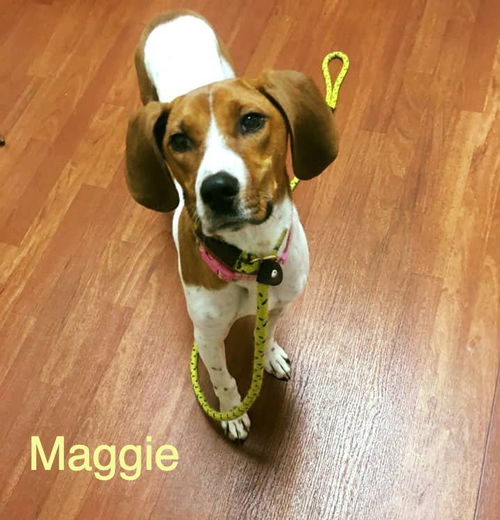 Maggie