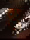 Linus