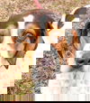 Molly: Training Included