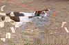 Molly: Training Included