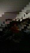Rocky Raccoon