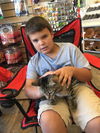Brown Tabbies X 6 (1 left)
