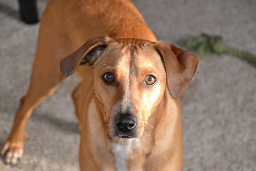 Max