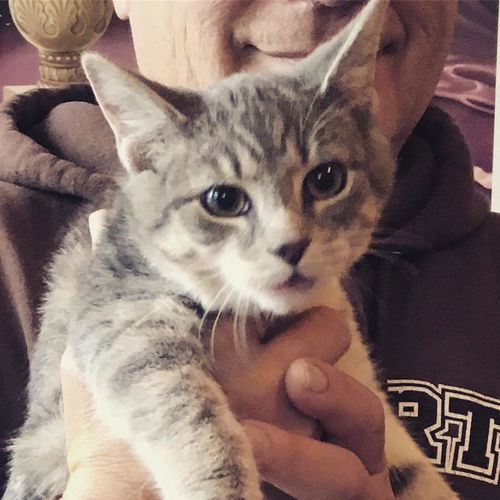 Mittens