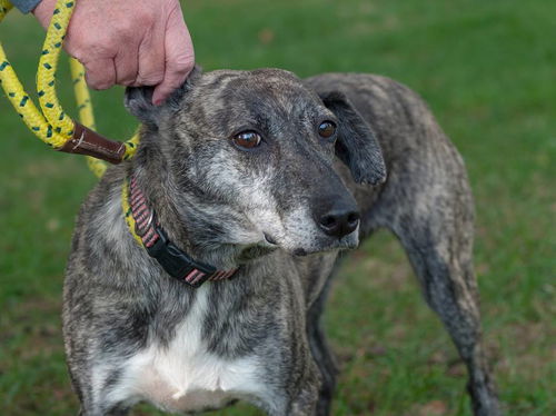 Missy: Terrace Park