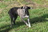 Missy: Terrace Park