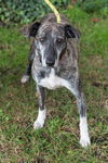Missy: Terrace Park
