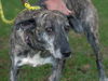 Missy: Terrace Park