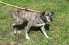 Missy: Terrace Park