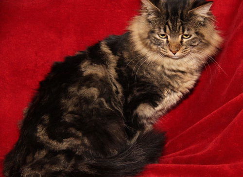Grand Duchess
