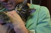 Boone:  PetValu Colerain