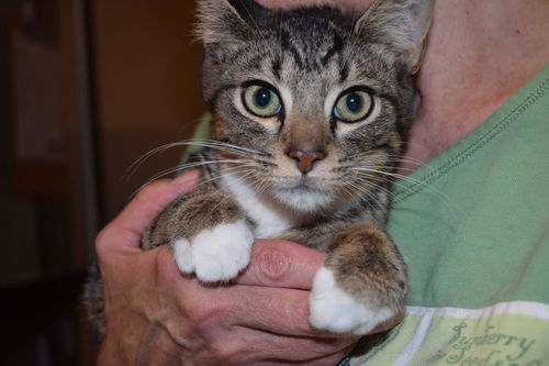Milo @ PetValu Colerain