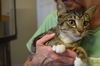 Milo @ PetValu Colerain