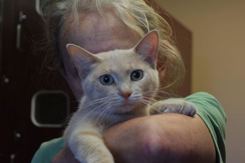 Punkin @ PetValu Colerain