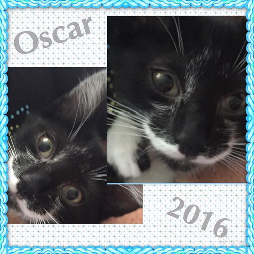 Oscar