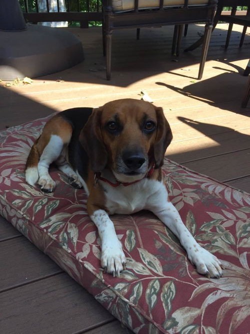 Sissy: West Chester