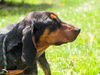 Mildred