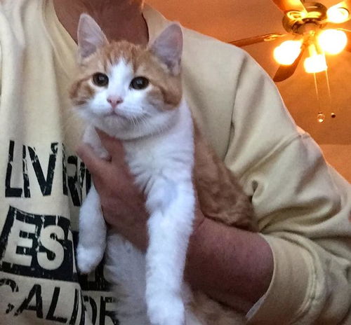 Tom