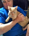 Ringo: Jack's Pets, WH
