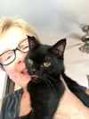 Midge: Jack's Pets, West Hills