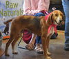 Maybelle: $31