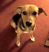 Molly