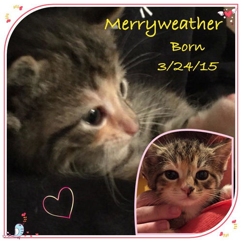 Merryweather & Maggie Mae