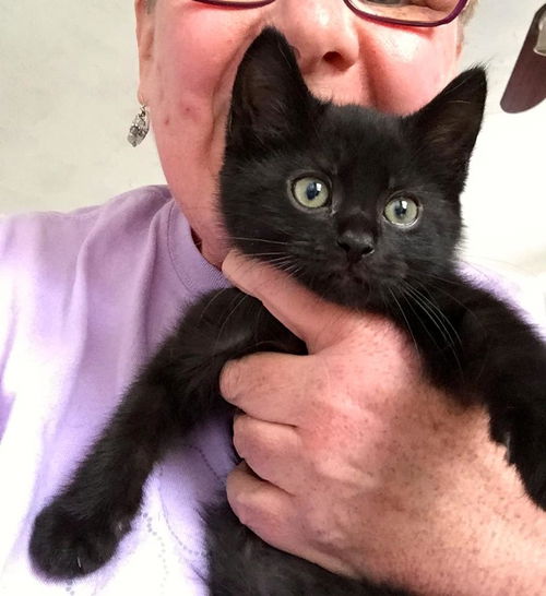 Misha & Monsieur: 9 weeks