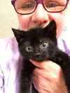 Misha & Monsieur: 9 weeks