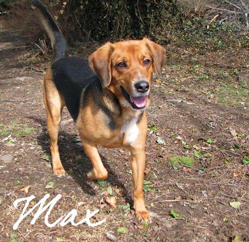 Max