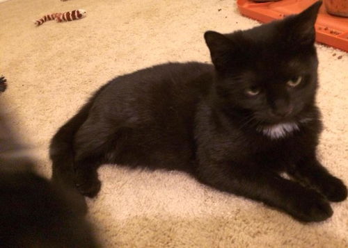 Timothy: Anderson Twp.