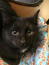 Timothy: Anderson Twp.