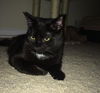 Timothy: Anderson Twp.