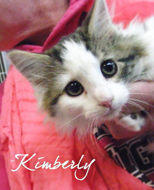 Kimberly: 12 weeks